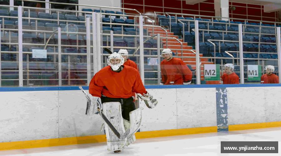 3377平台无畏向前，力争登顶